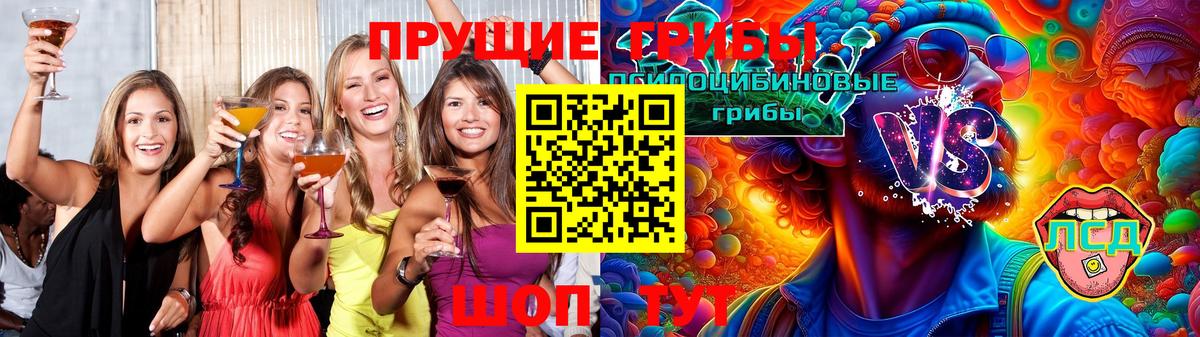 Псилоцибиновые грибы Psilocybine cubensis  Вход с VPN  Тайшет 